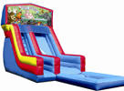 Happy Birthday Animals waterslide wet or dry slide