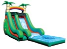 Tropical Palm Tree waterslide wet or dry slide