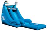 Dolphin waterslide wet or dry slide